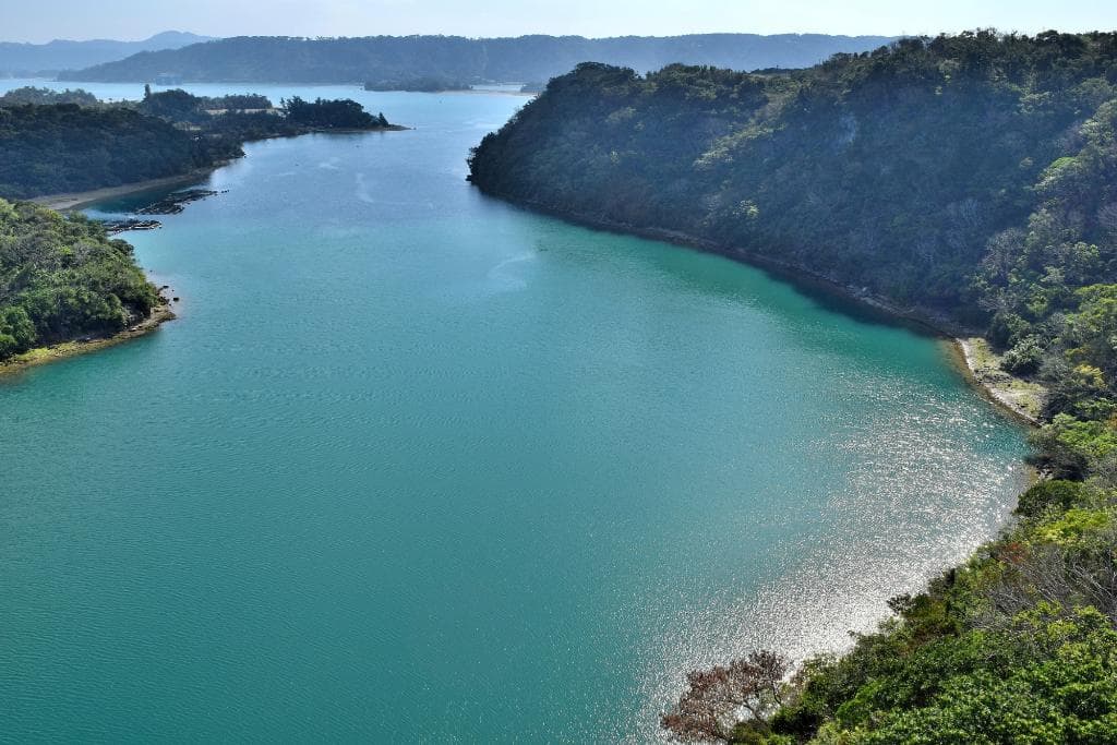 緑色の海