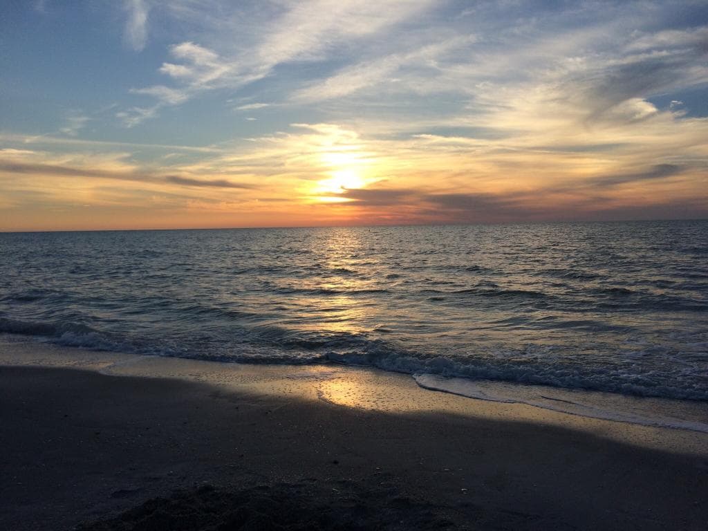 Indian Rocks Beach Nature Preserve