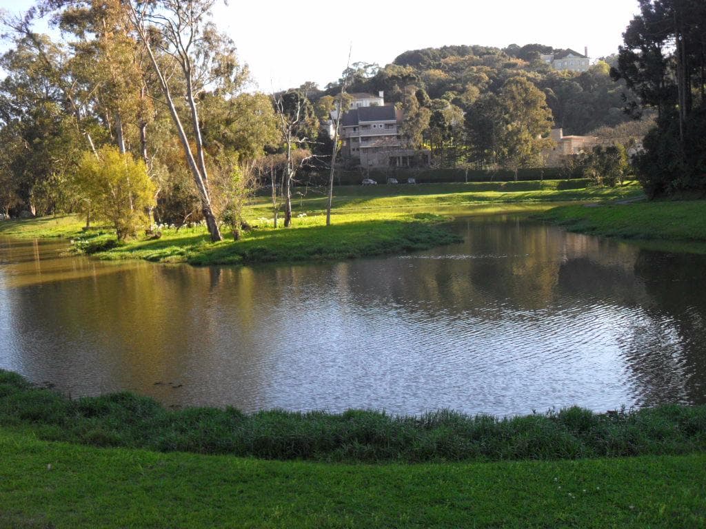 Natureza e ar puro