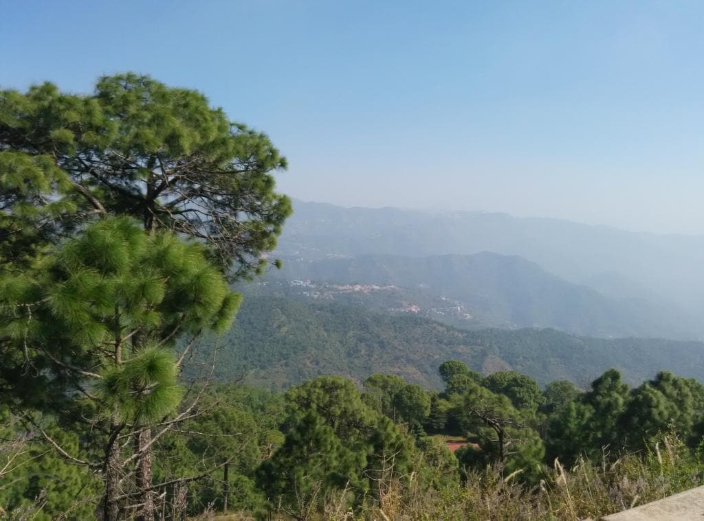 On the Way to Monkey Point