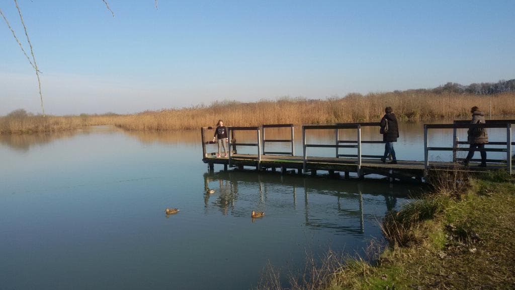 Riserva naturale Valli del Mincio