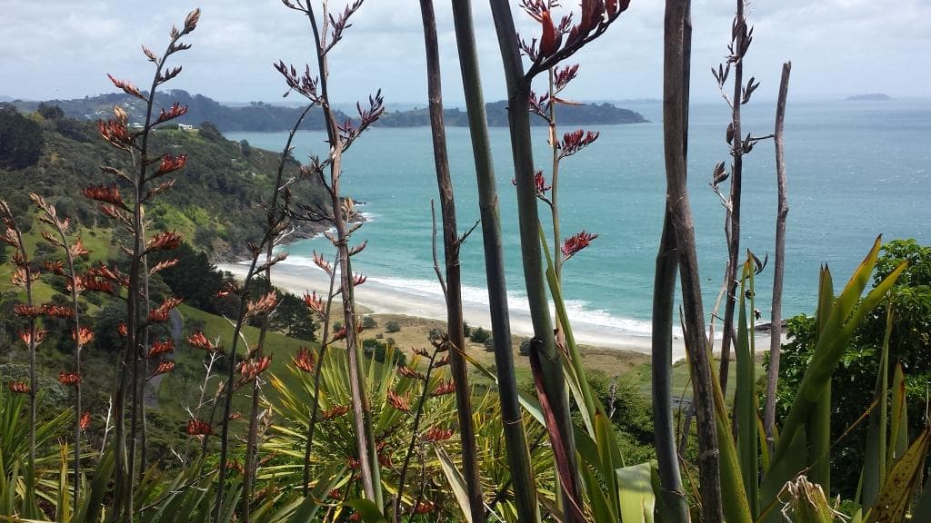 Whakanewha Regional Park Waiheke Island