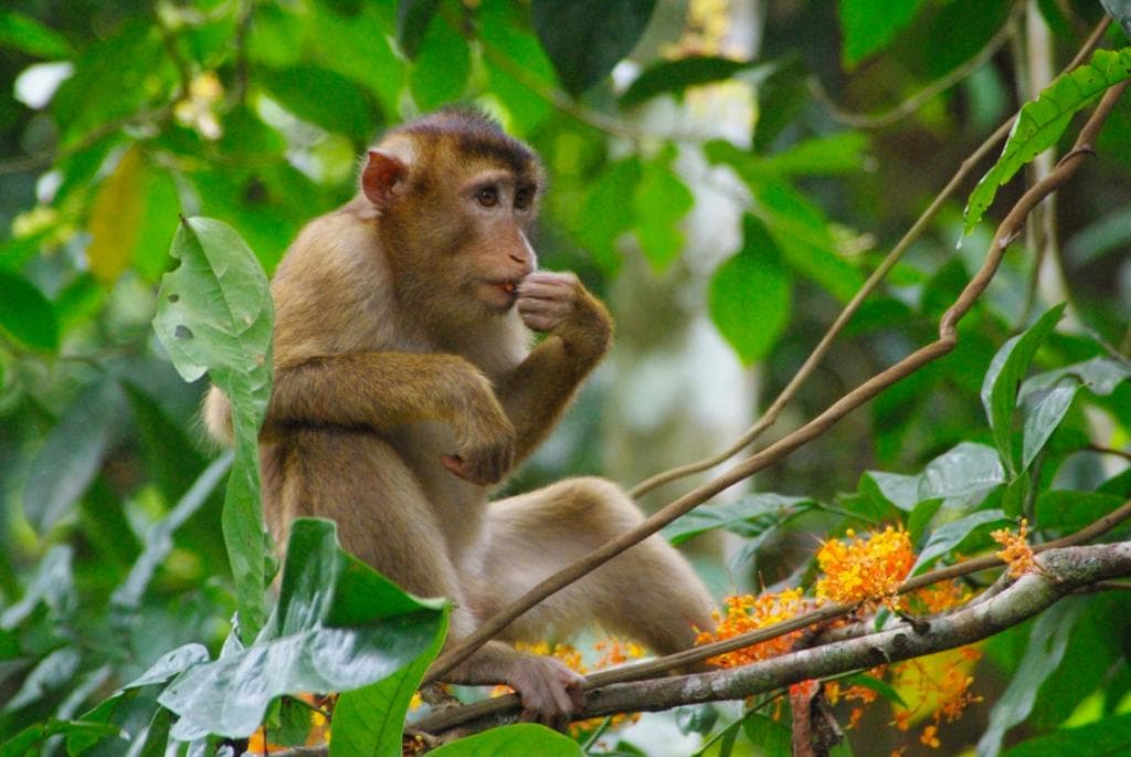 enjoying a floral snack