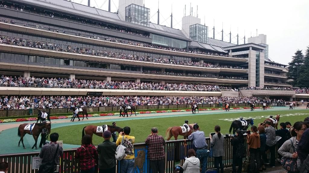 Tokyo Racecourse