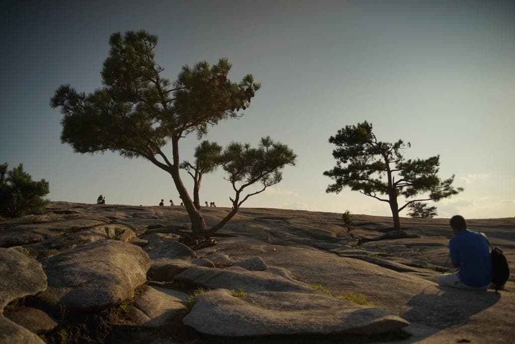 Stone Mountain Carillon