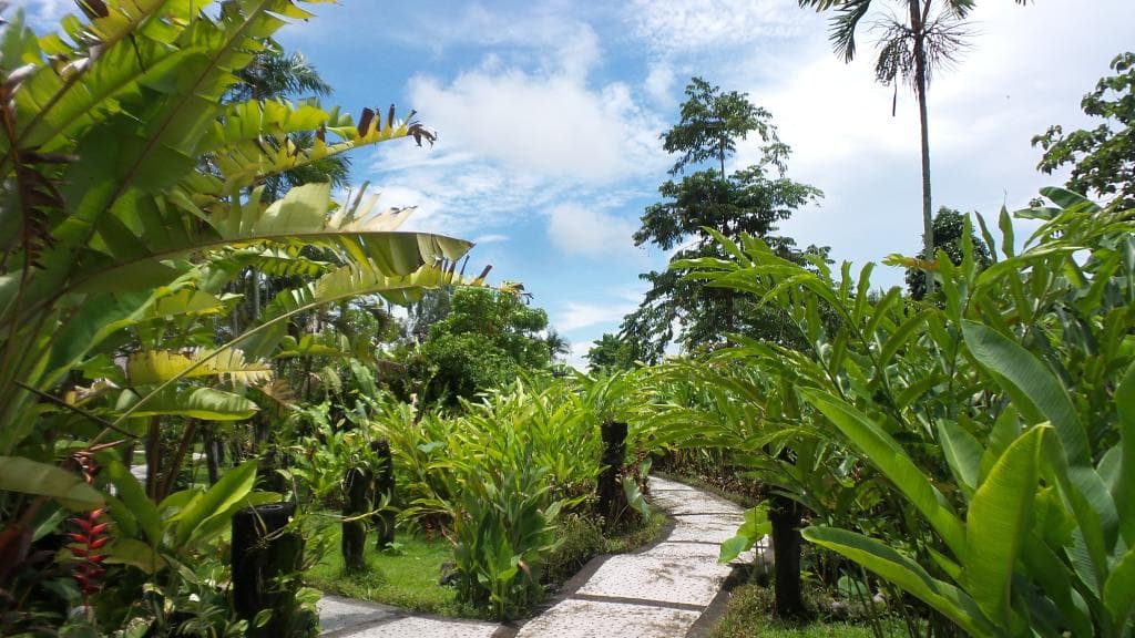 Fresh air with natural view.