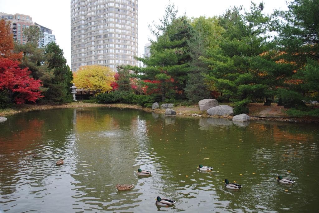 Kariya Park Lethbridge