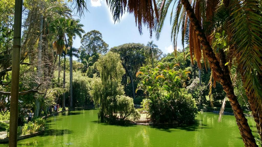 Parque Municipal Américo Reneé Giannetti