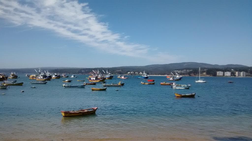 La vista hacia Pingueral y Dichato