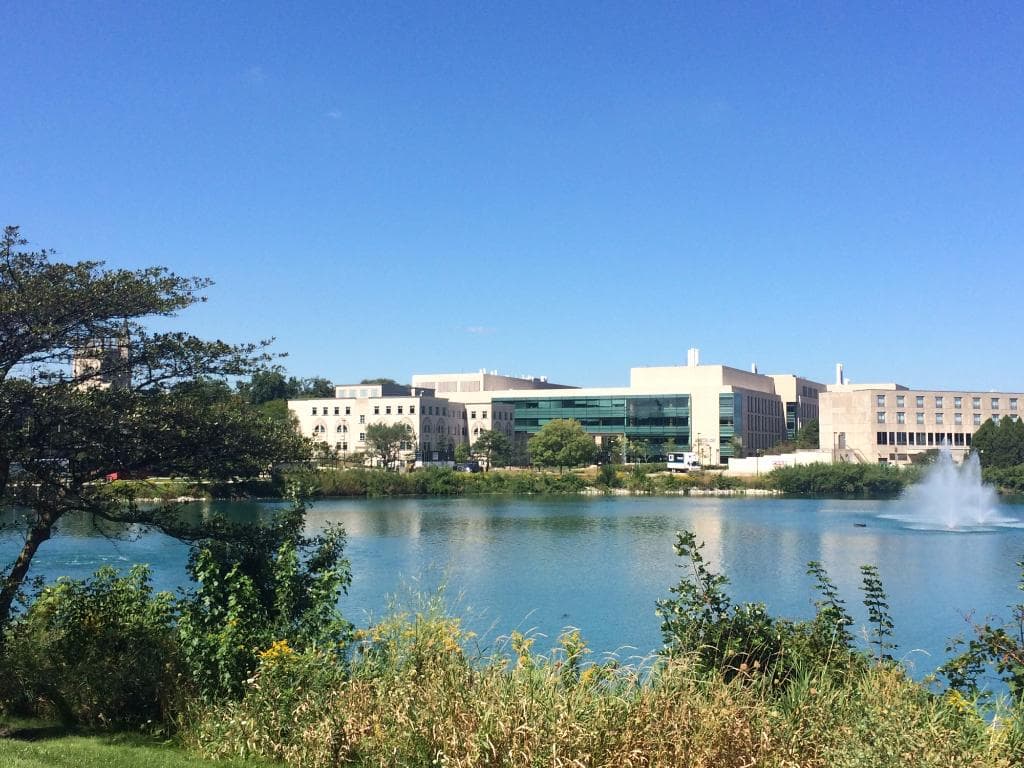 Вид на учебные корпуса из парка недалеко от озера