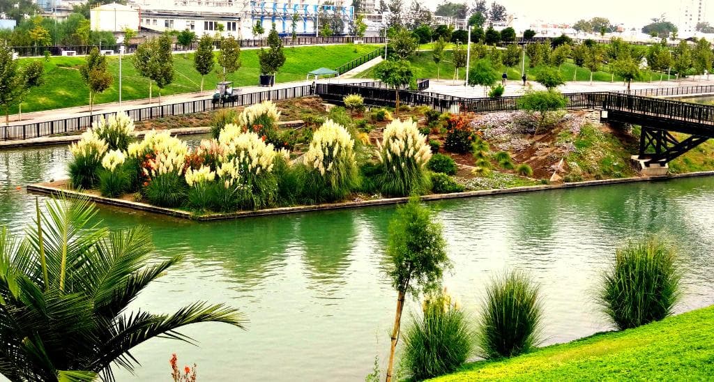 Verdes pastos y una hermosa planificación de jardines.