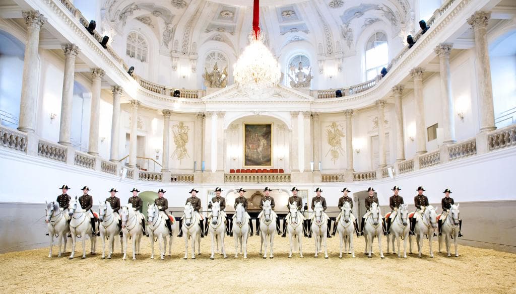 Spanische Hofreitschule (Fotocredit: Spanische Hofreitschule / Stefan Seelig)