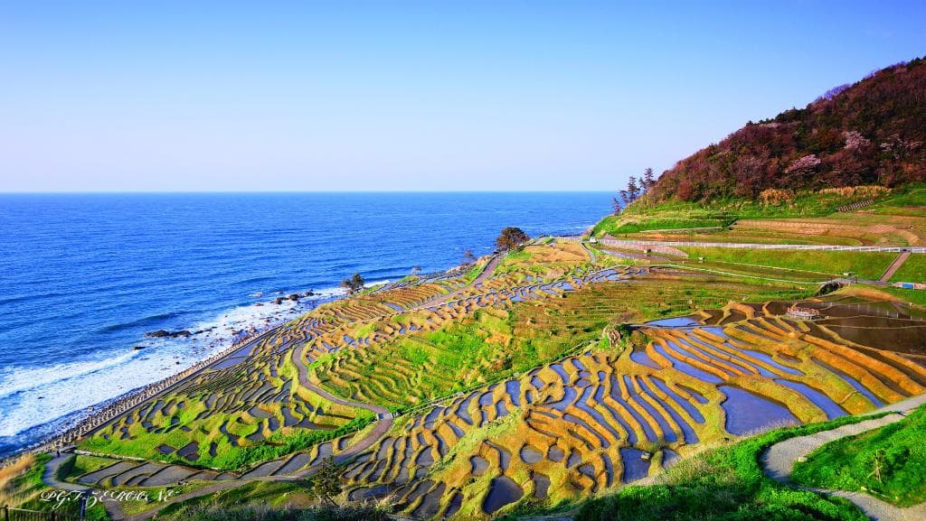 水田の水が映し出す空はきれいなものです。※あくまで農地ですのでルールを守って下さい。