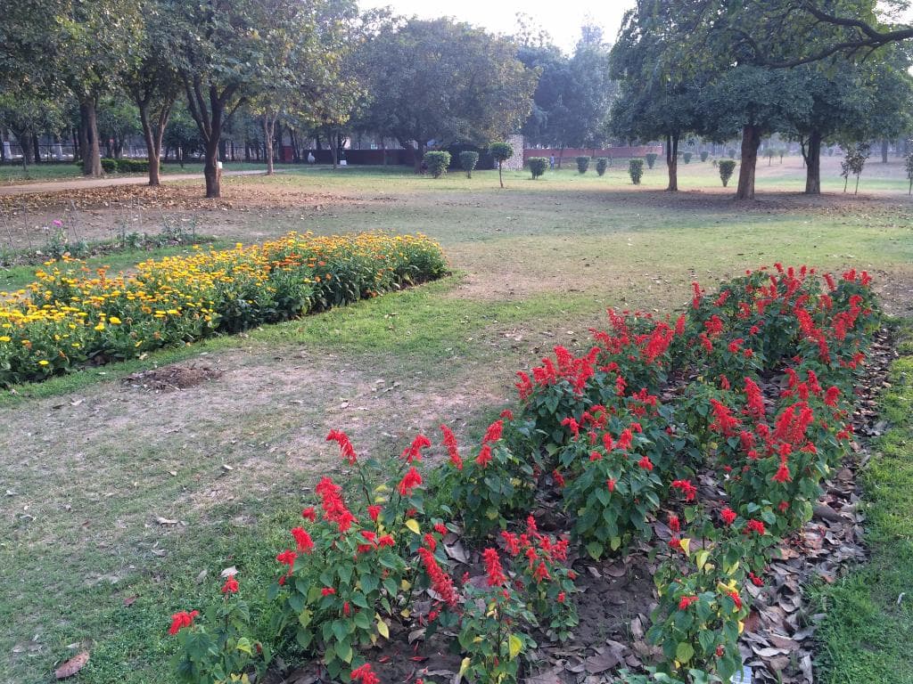 pretty place