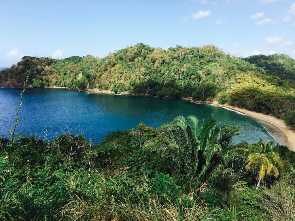 The view of Englishman's Bay on the way from Castara