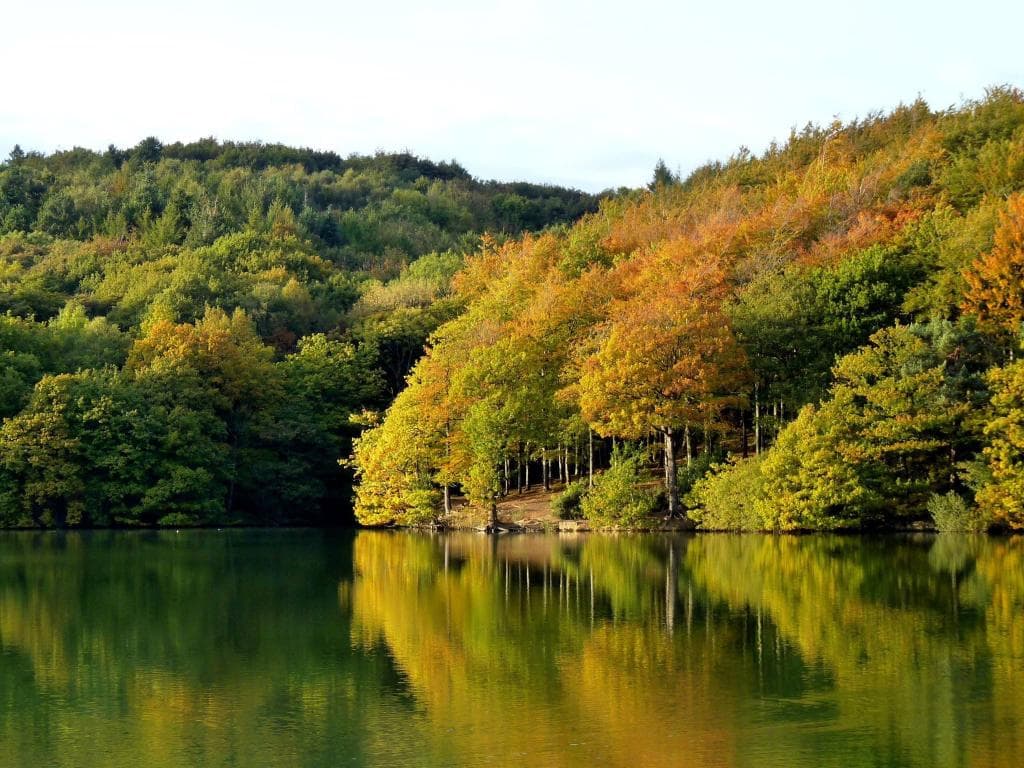 Linacre Reservoirs