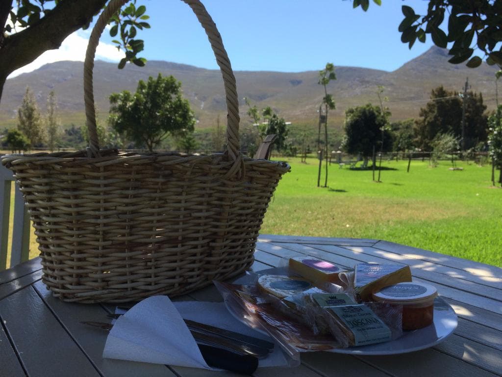 Picnic with a view