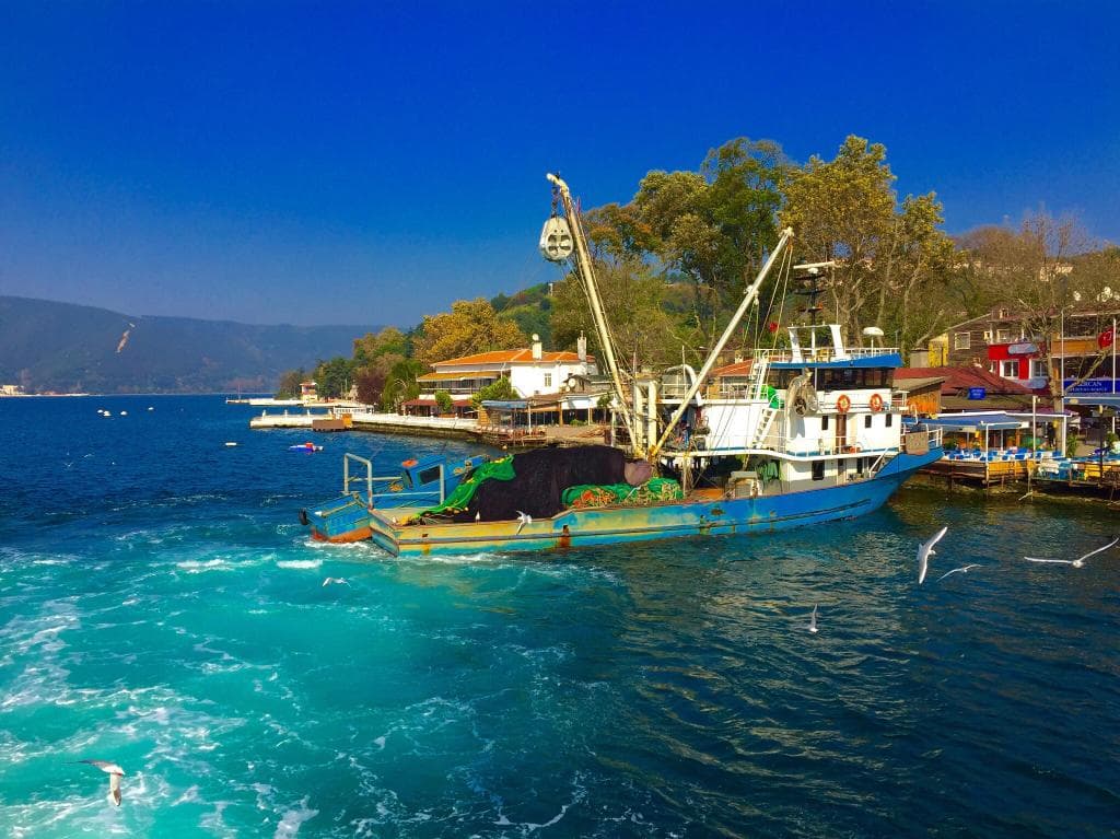 Anadolu Kavagi