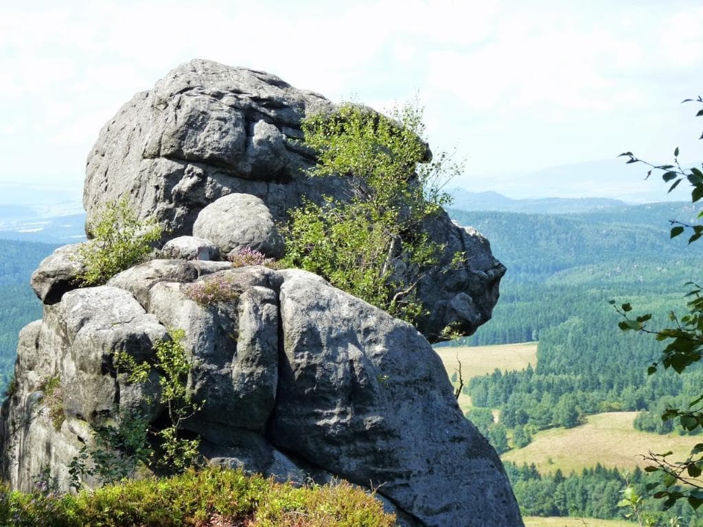 Skała ala małpa?