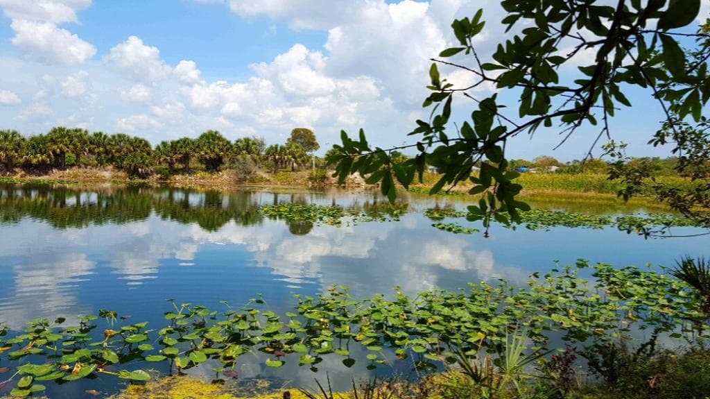 Lake  