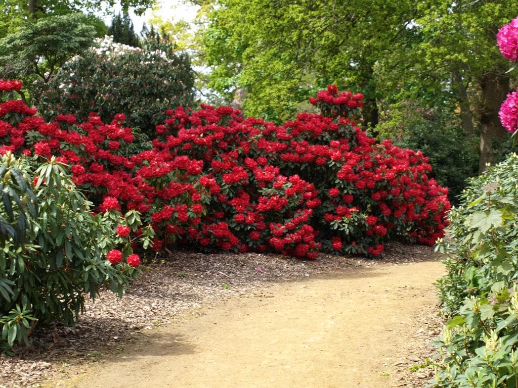 There are many more examples like this around the Park.