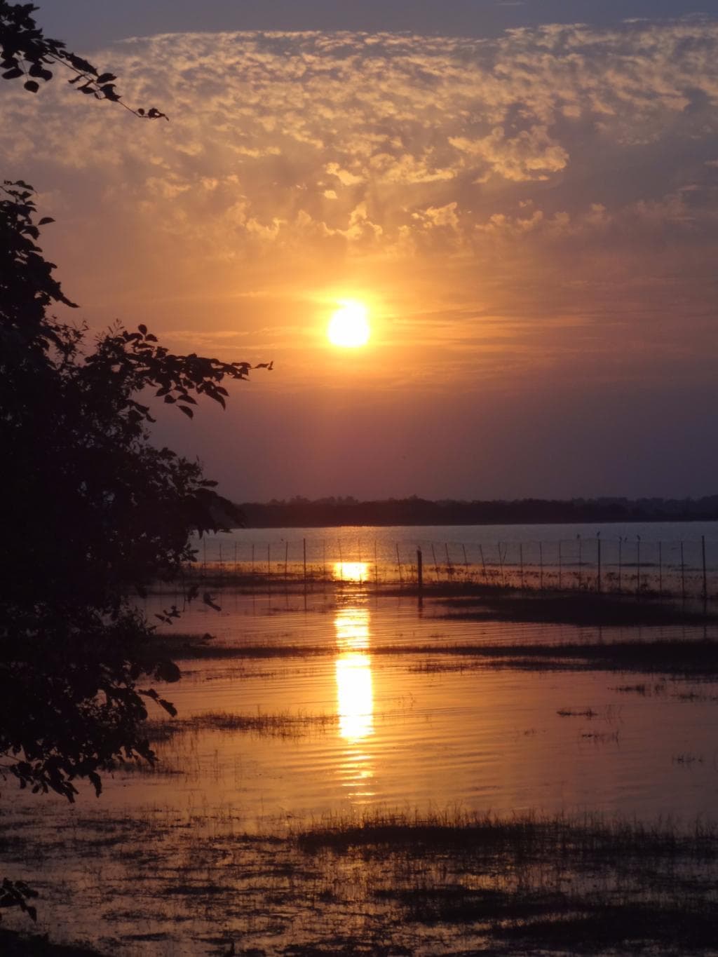 Lake view from Van Vihar
