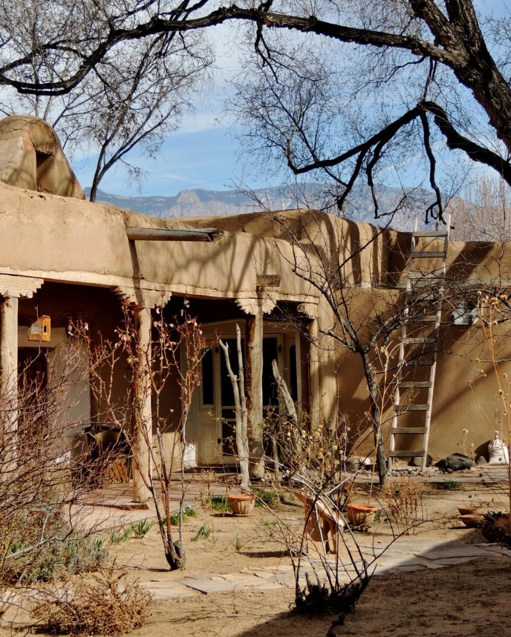 A view of the Sandia Mountain from the courtyard