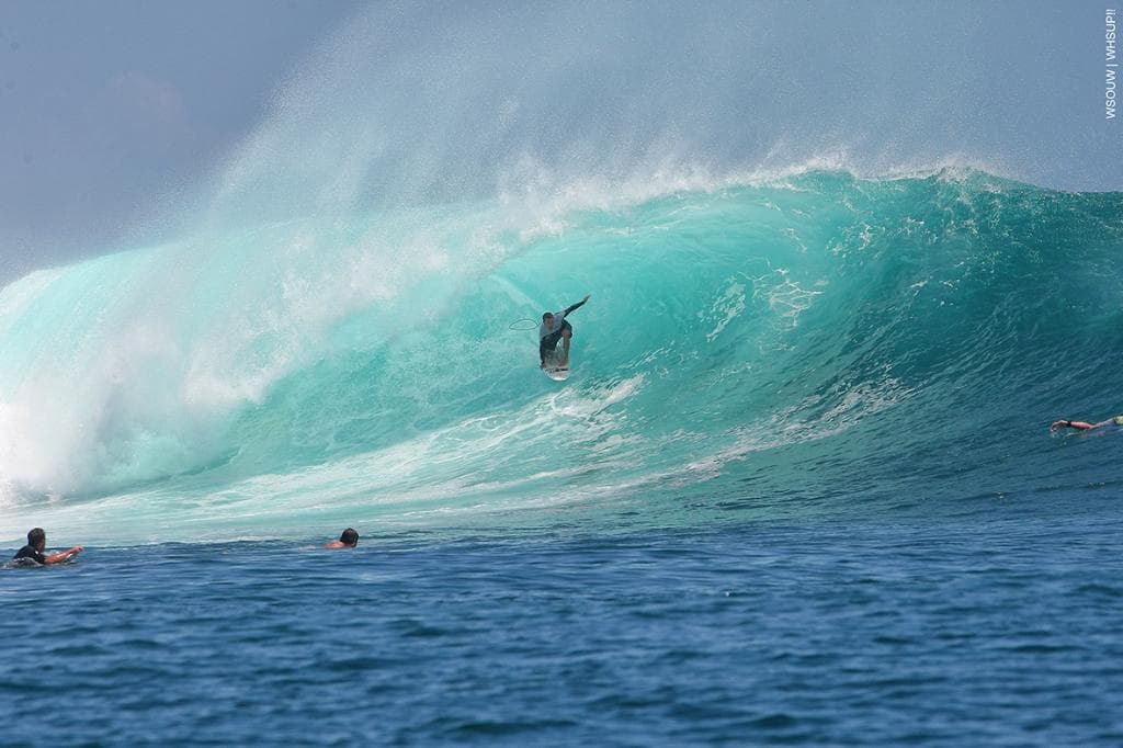surf