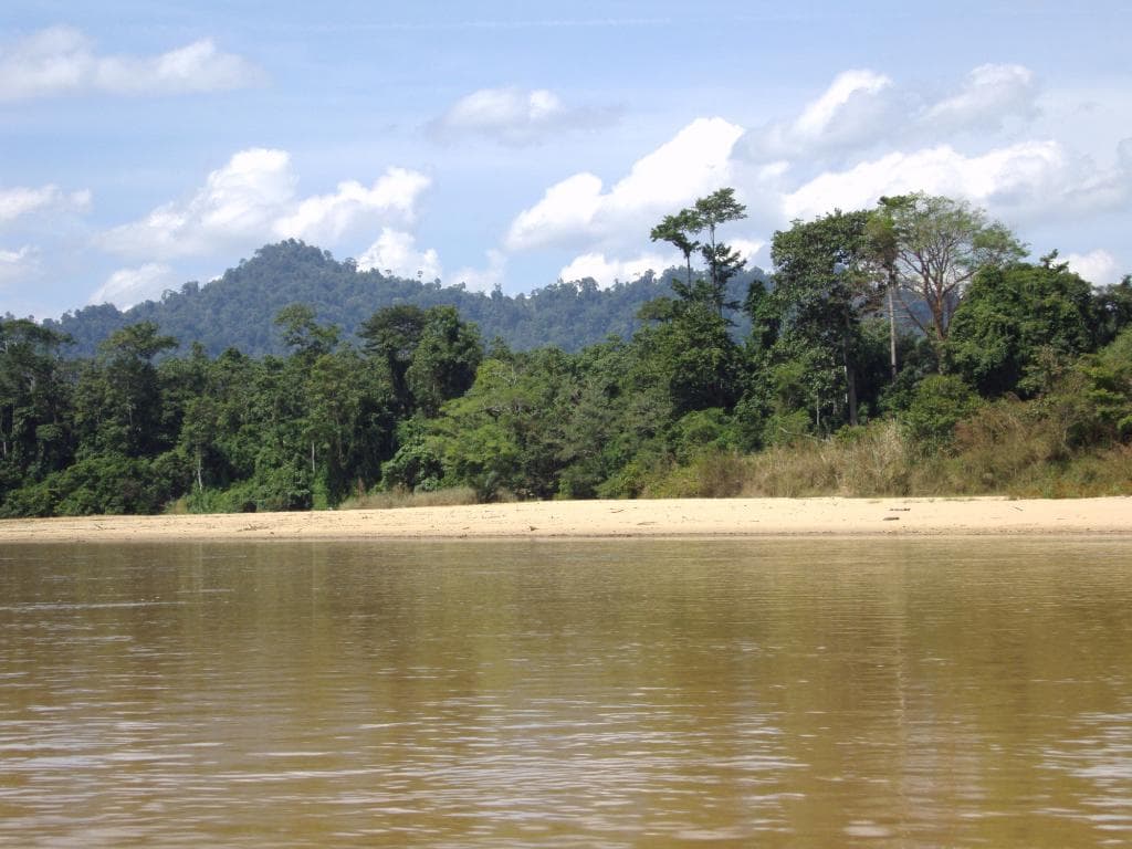 Taman Potret