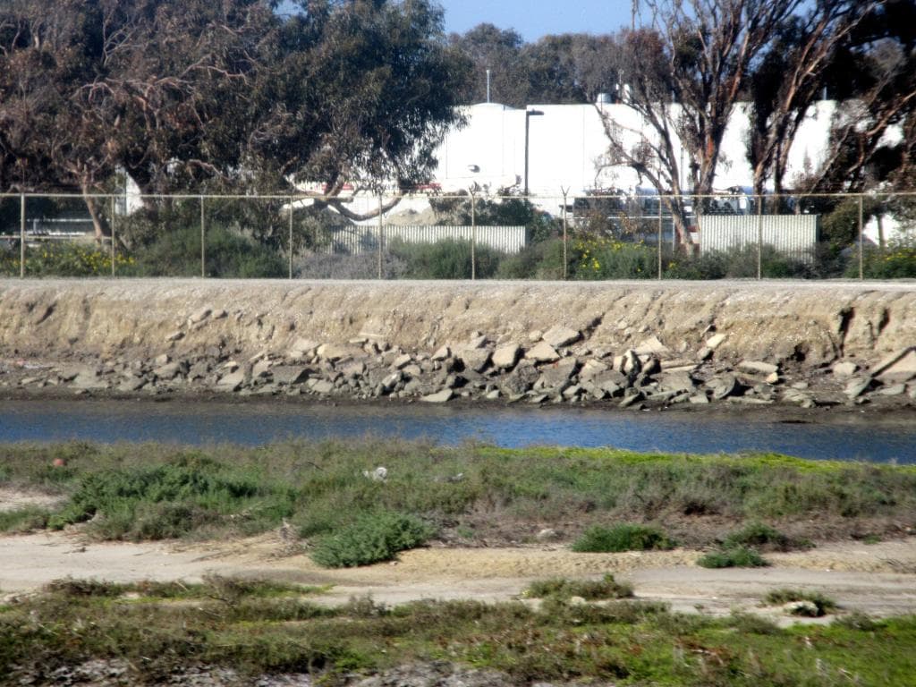 Huntington Beach Wetlands, Huntington Beach, Ca