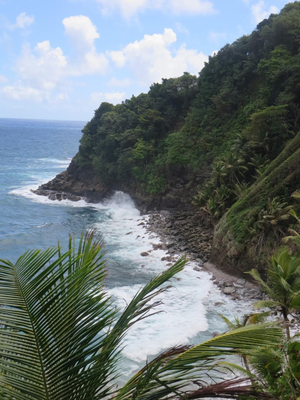 Aussicht auf die Klippen