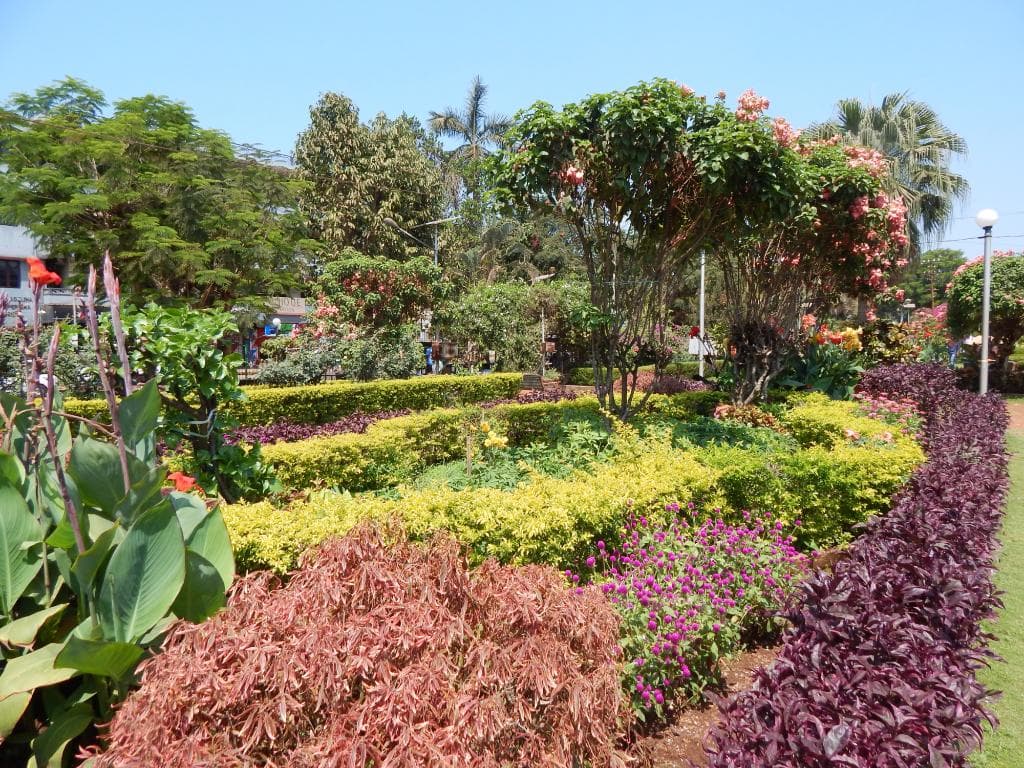 garden