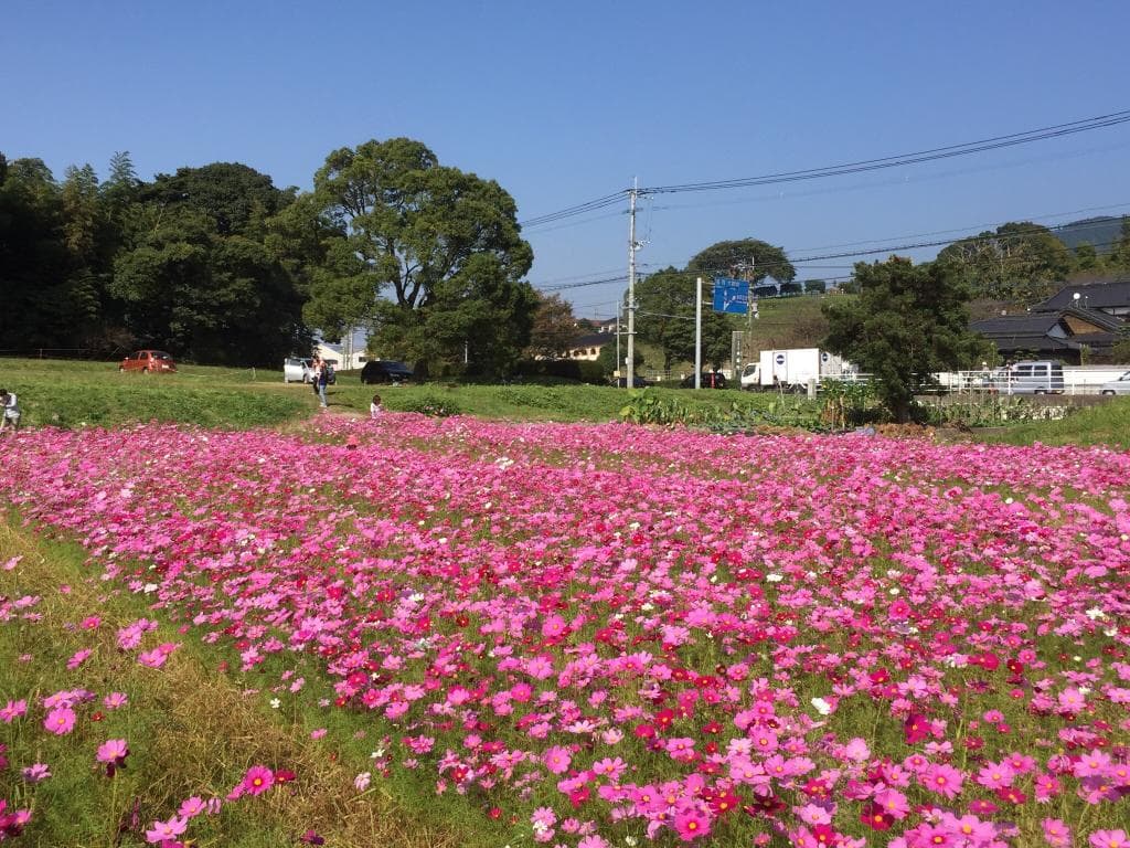 水城跡