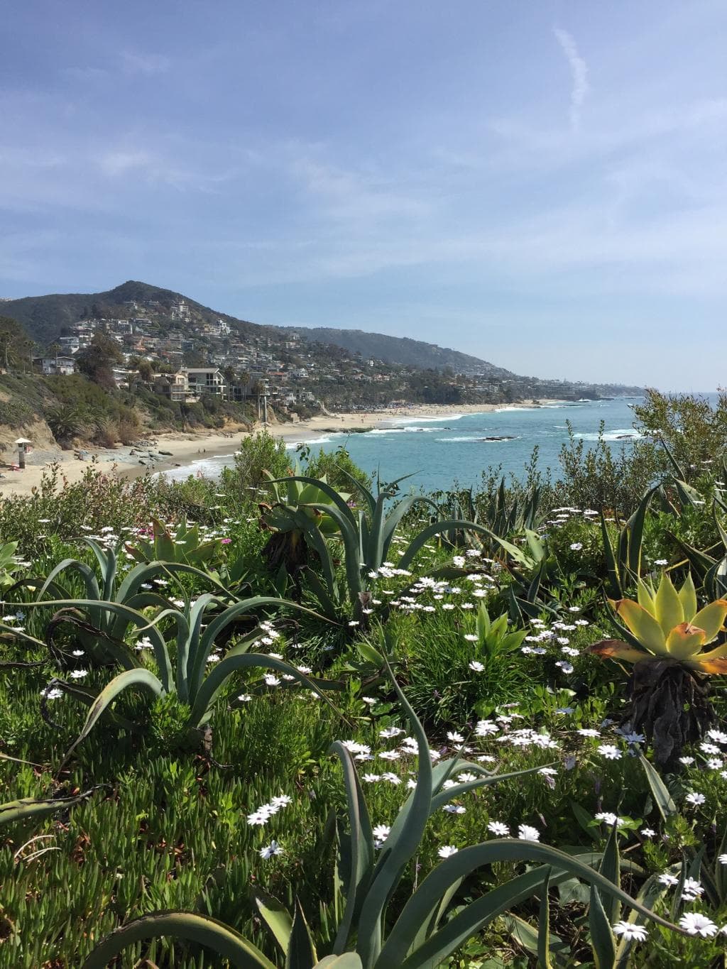 Goff Island Beach