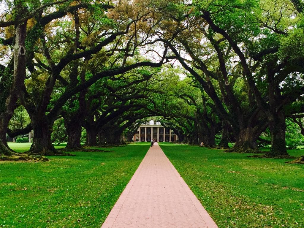 River Road Plantations Louisiana