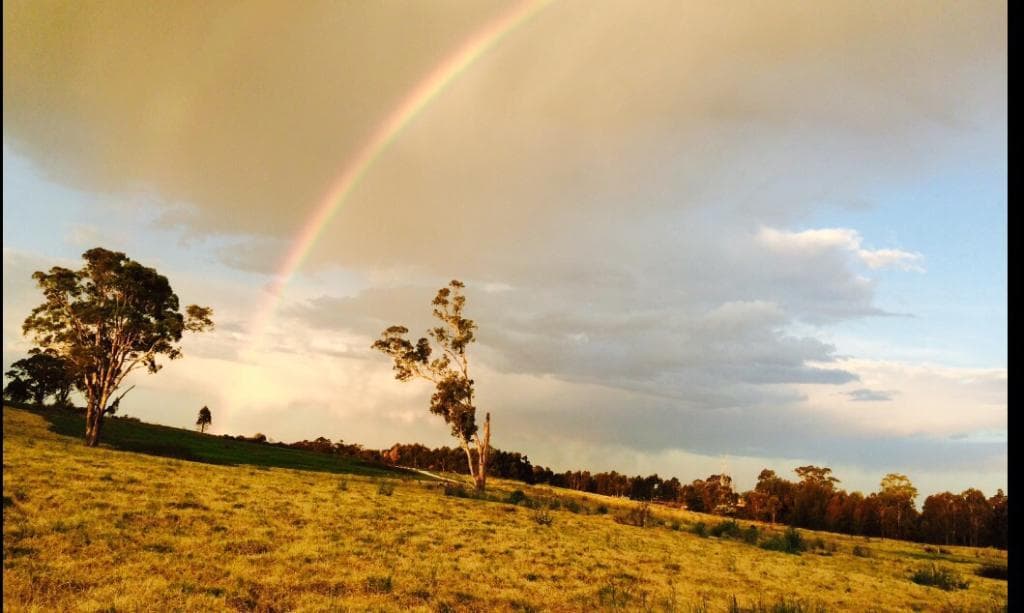 Popular lookouts within the parklands rewarded after trekking or cycling.