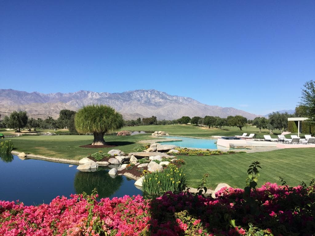 View from the patio of the house.