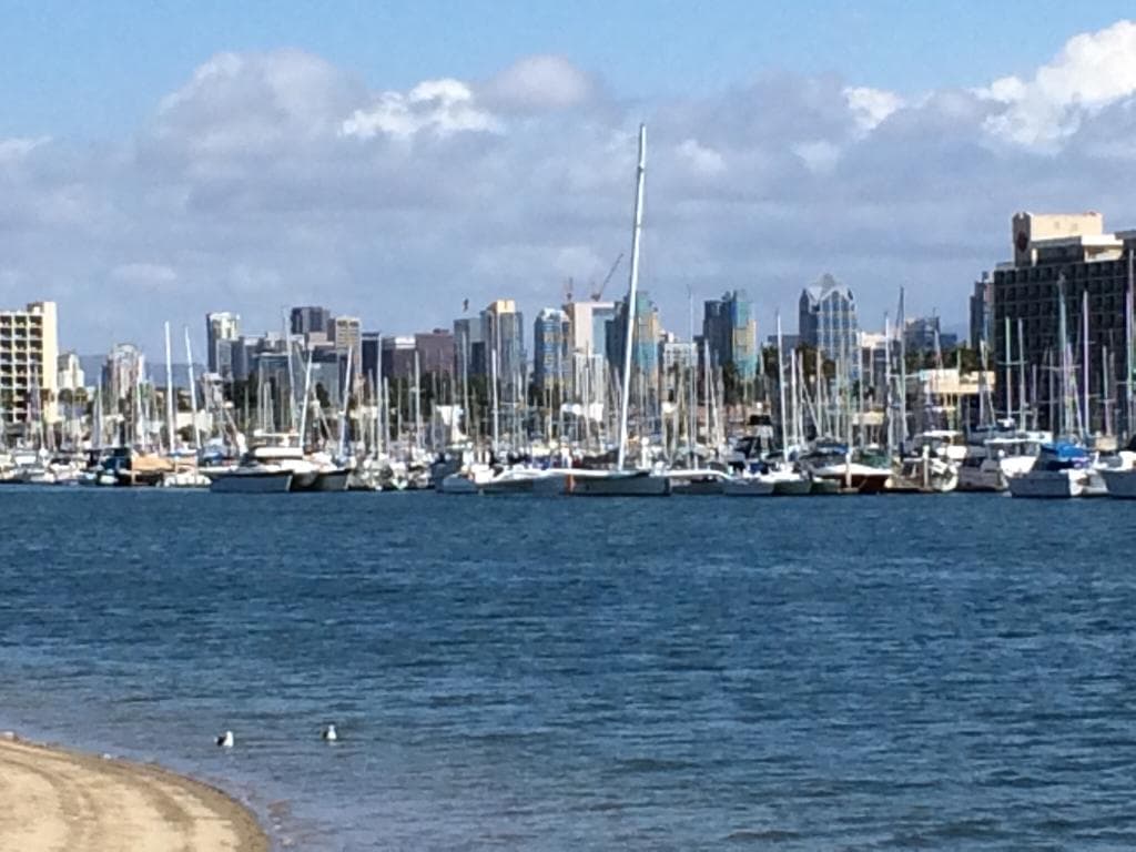 Very nice walkway with park like setting, in harbor, with beautiful views of the city.