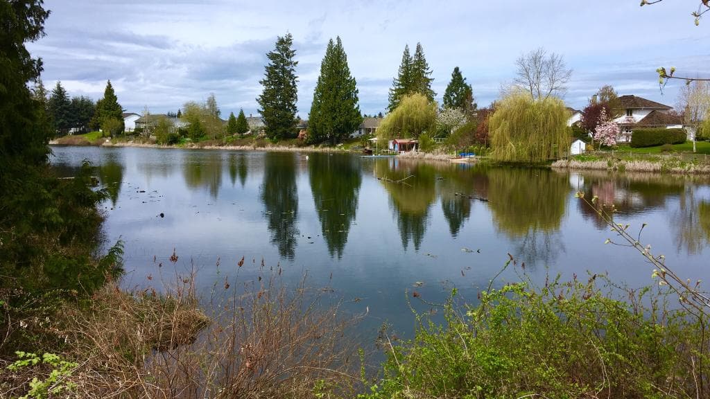 Nanaimo and surrounding area