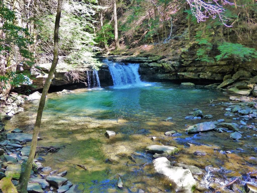 Grundy Day Loop