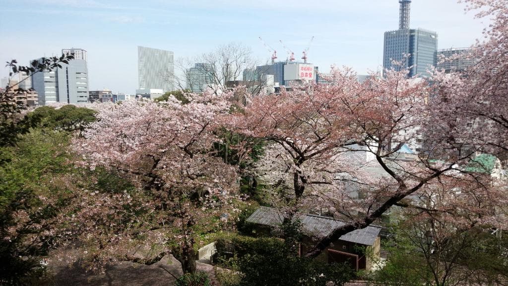 Kamonyama Park Yokohama