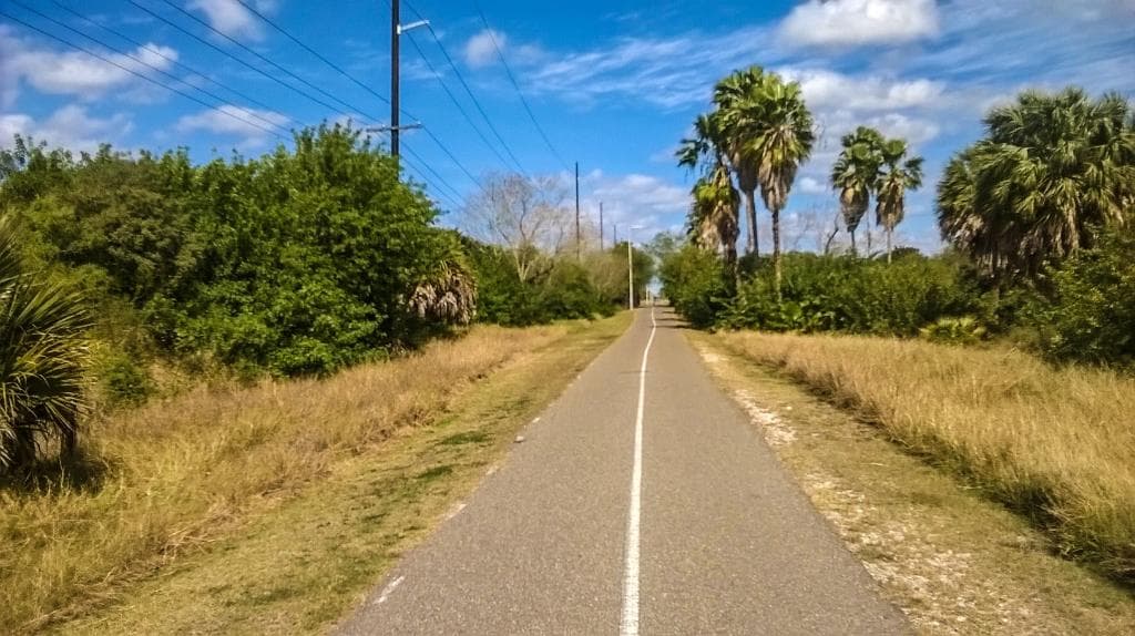 The trail cutting through brownsvilles natural habitat