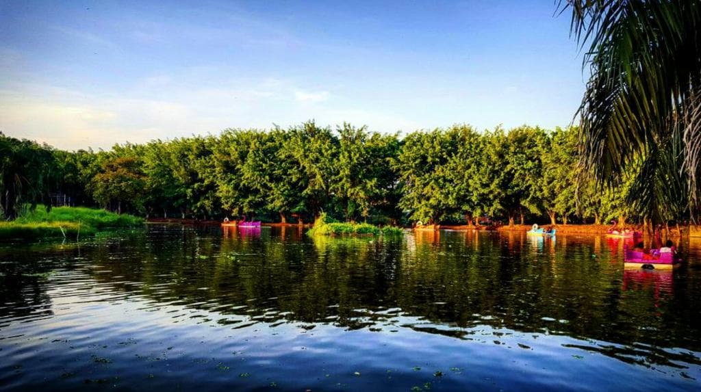 Fotos de los diferentes ambientes del Parque Natural de Pucallpa