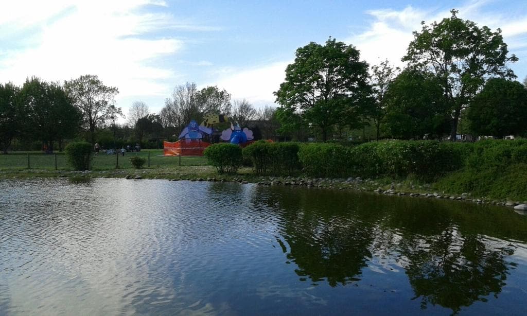 Laghetto con tartarughe al centro del parco