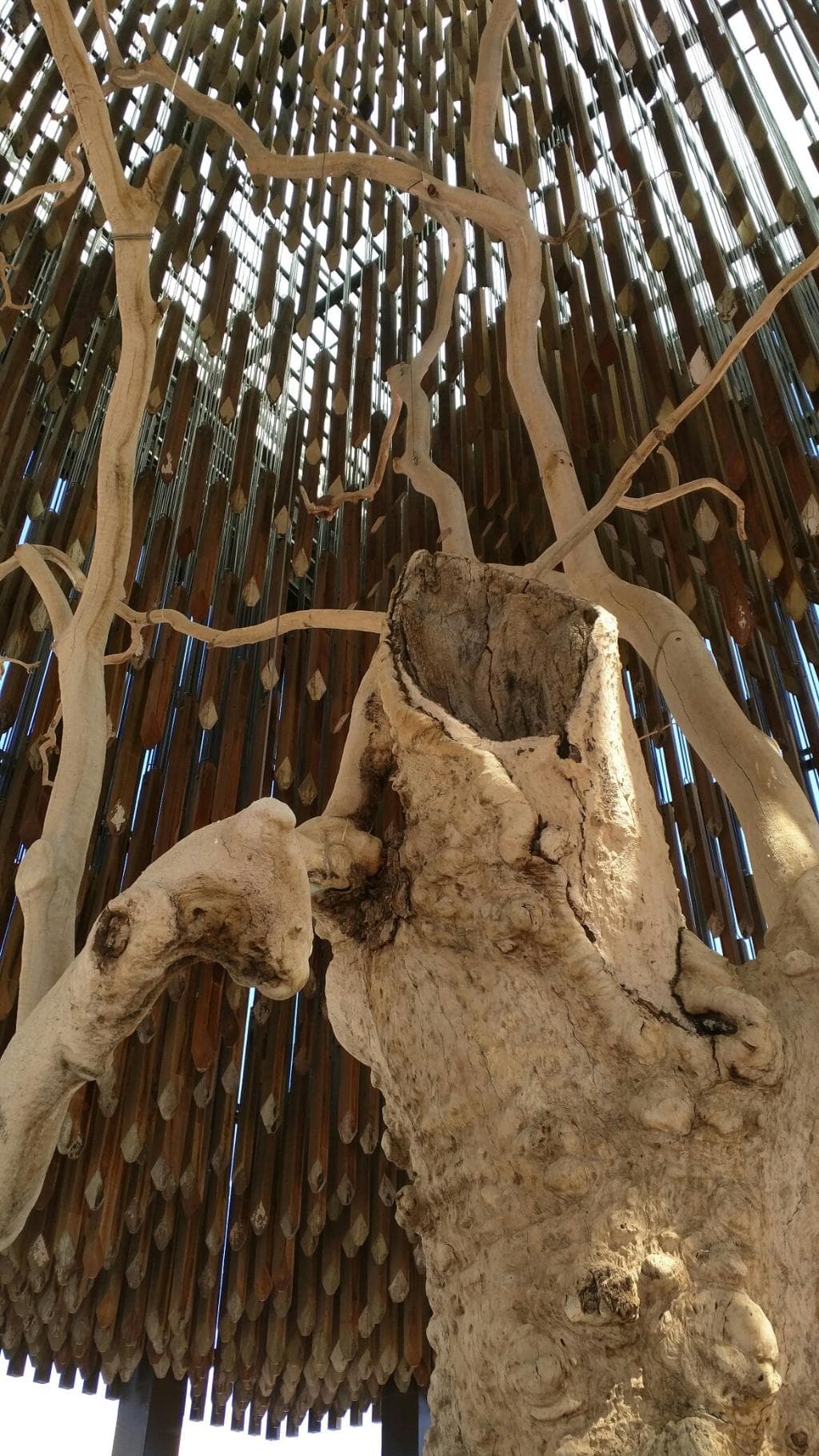 Tree of Knowledge Memorial Barcaldine