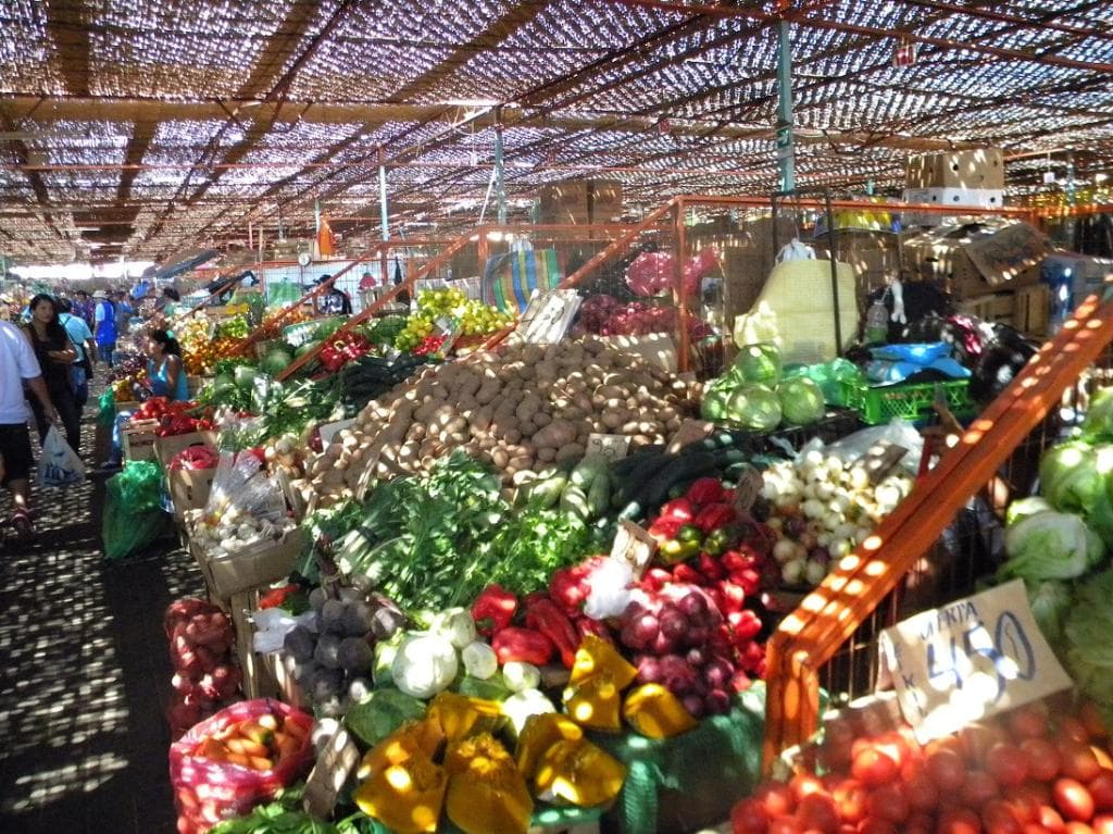 Terminal Agropecuario de Arica 