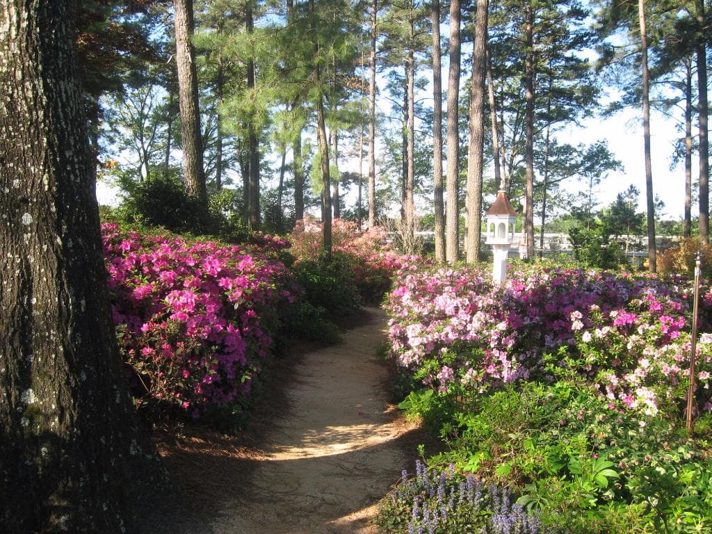 gardens