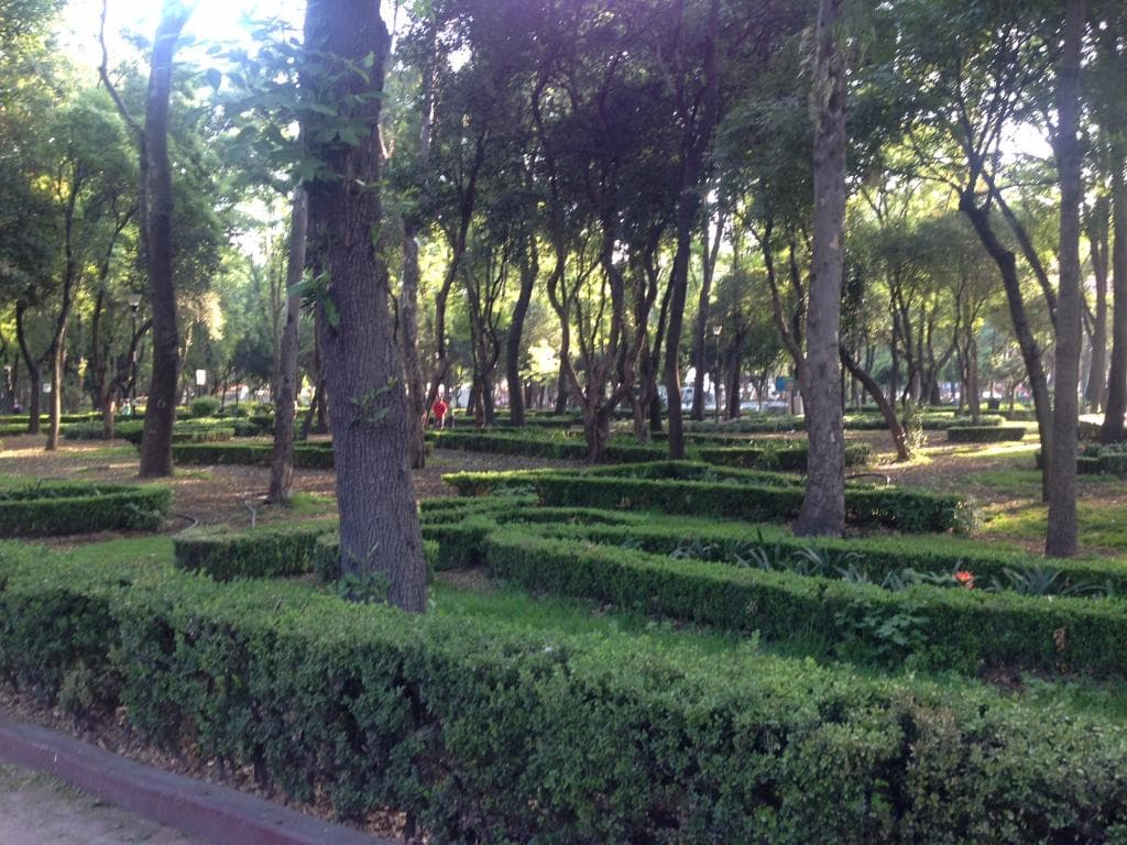 Parque de los Venados Raíces Mexico City