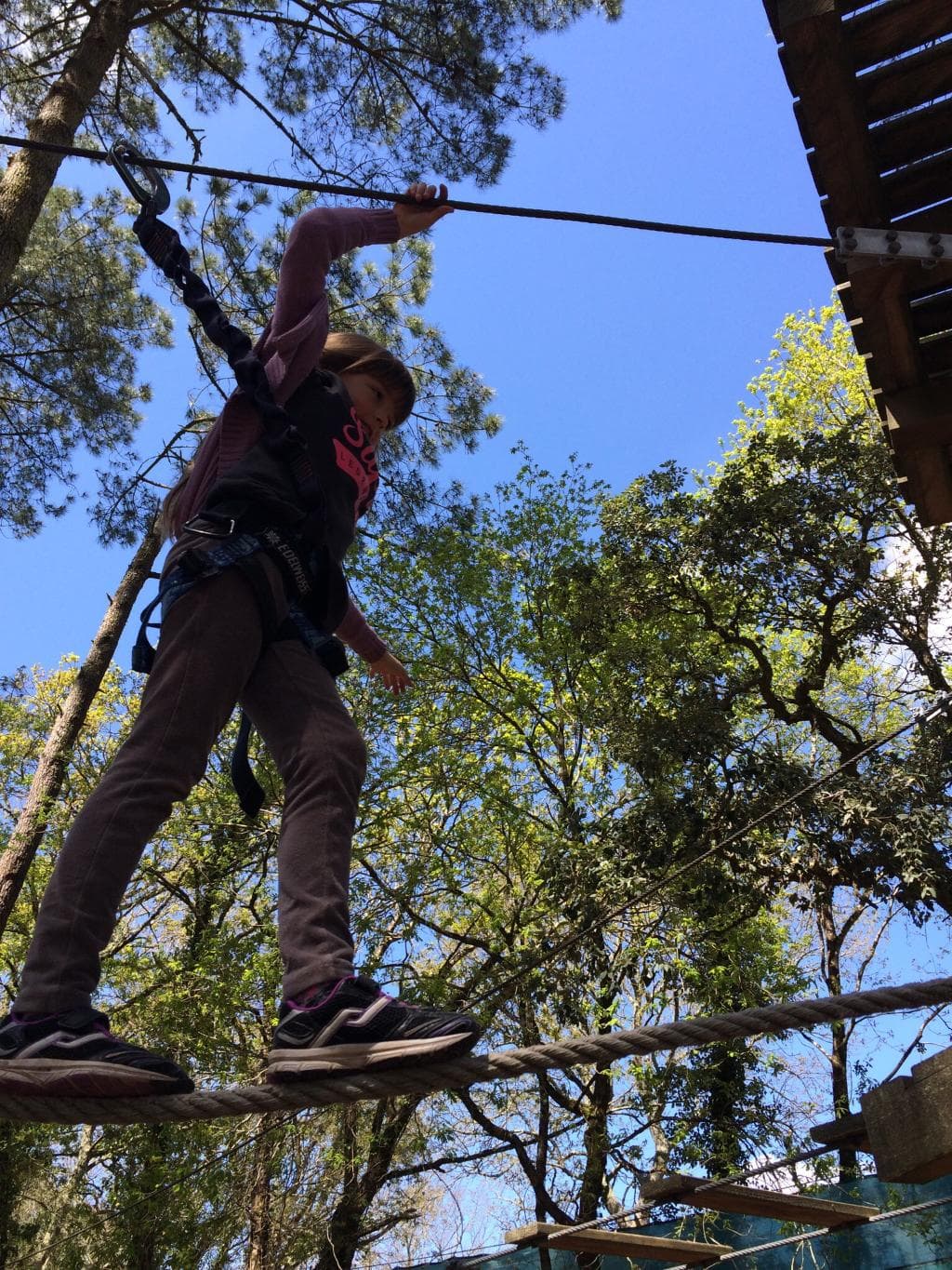 Adrénaline Parc Moliets