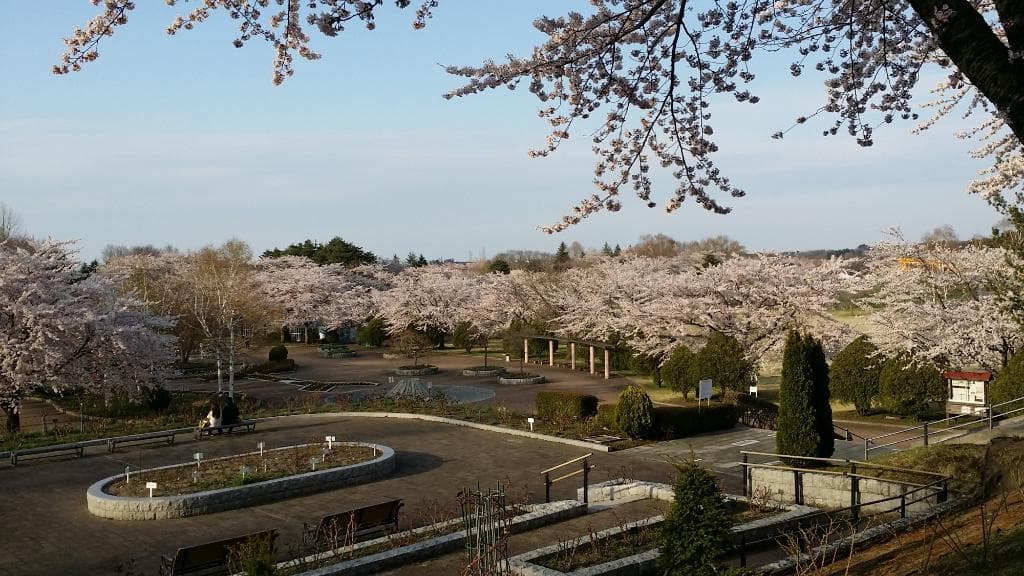Hachinohe Park